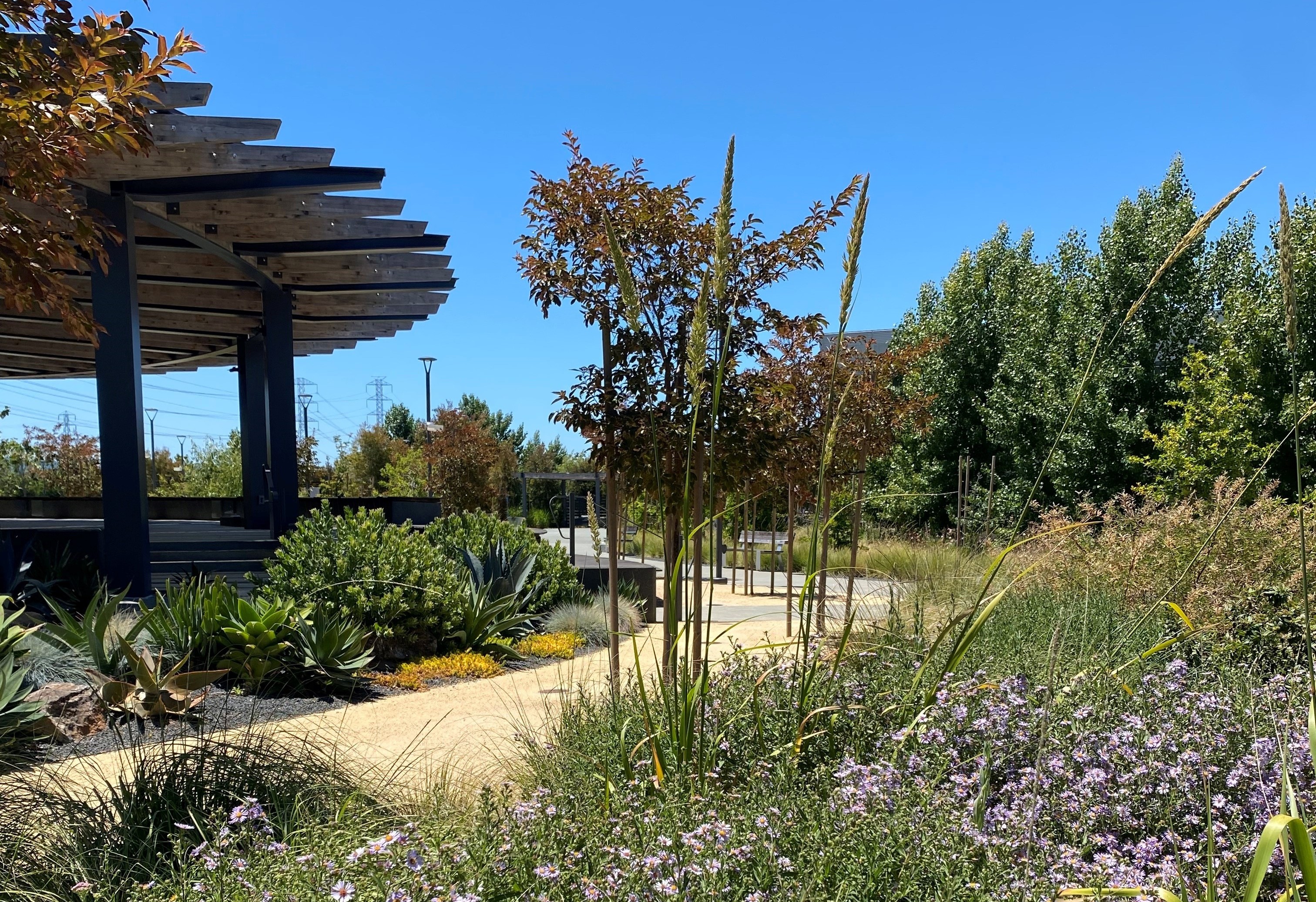 Gilead_Park_2024